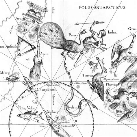 tudor constellation|when was the constellation introduced.